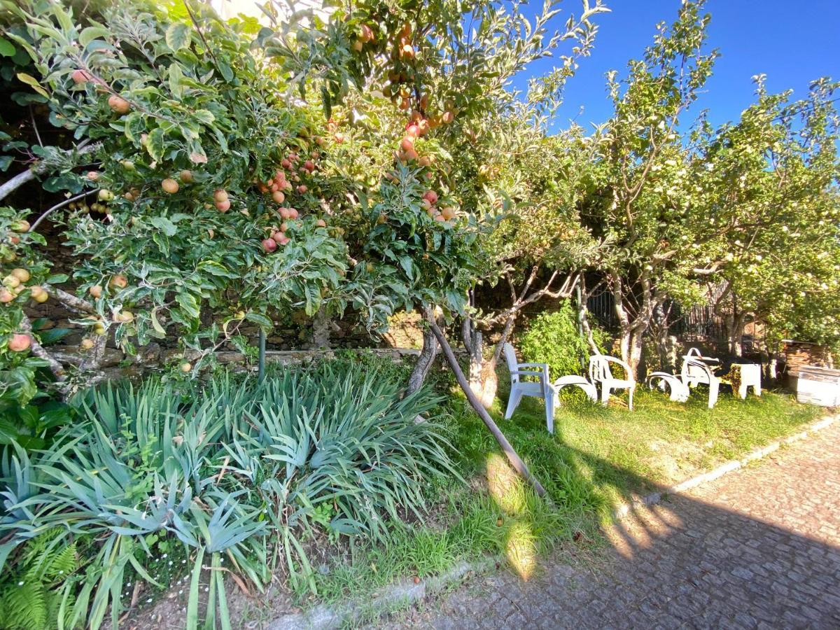 Apartmán Casa Da Risca Unhais Da Serra Exteriér fotografie